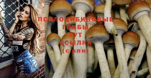 соль курить ск Абдулино